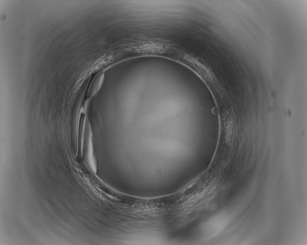X0000086020729200703231145
