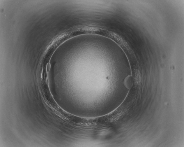 X0000086020731200703231145