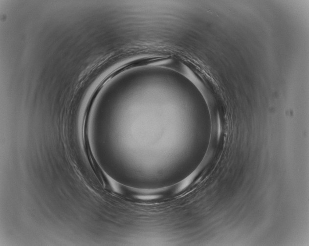 X0000086020740200703231145