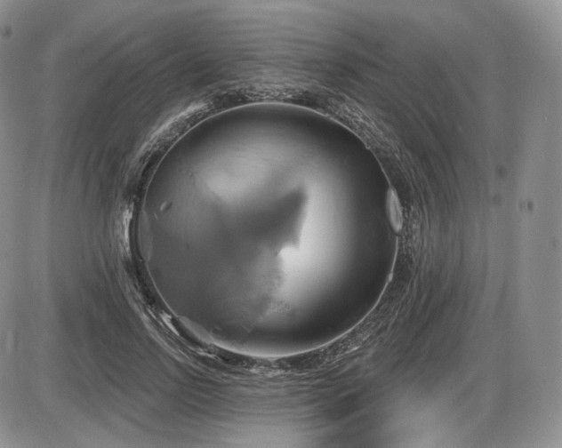 X0000086020742200703231145