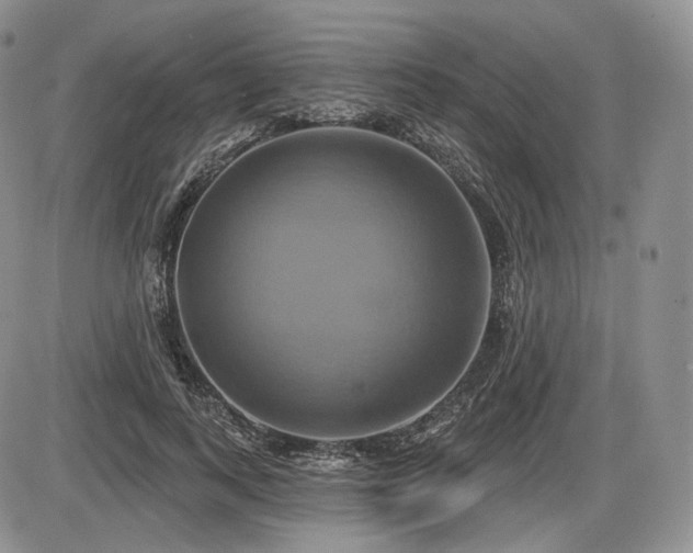 X0000086020743200703231145