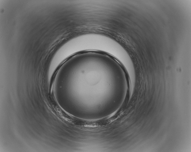 X0000086020744200703231145