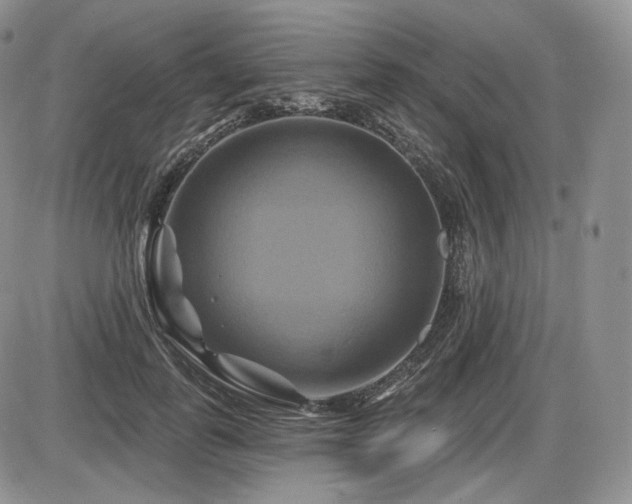 X0000086020747200703231145