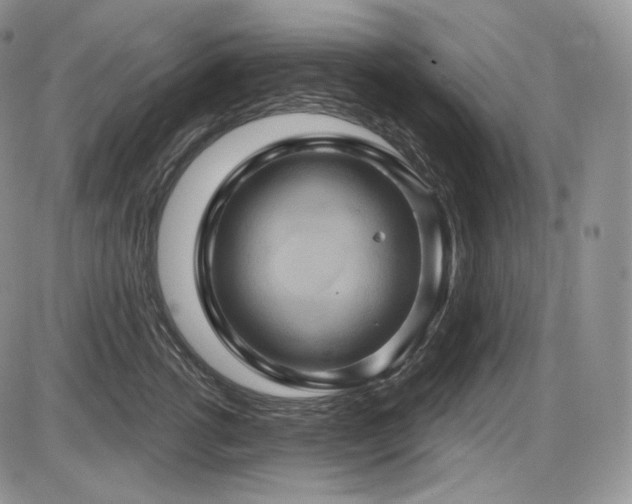 X0000086020762200703231146