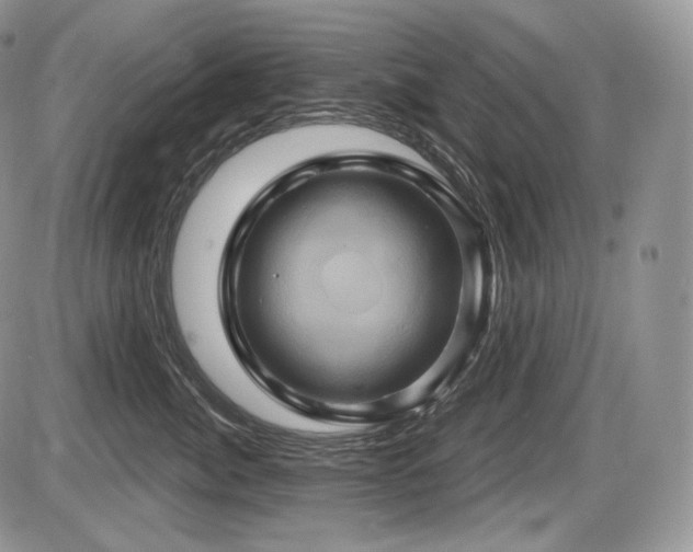 X0000086020764200703231146