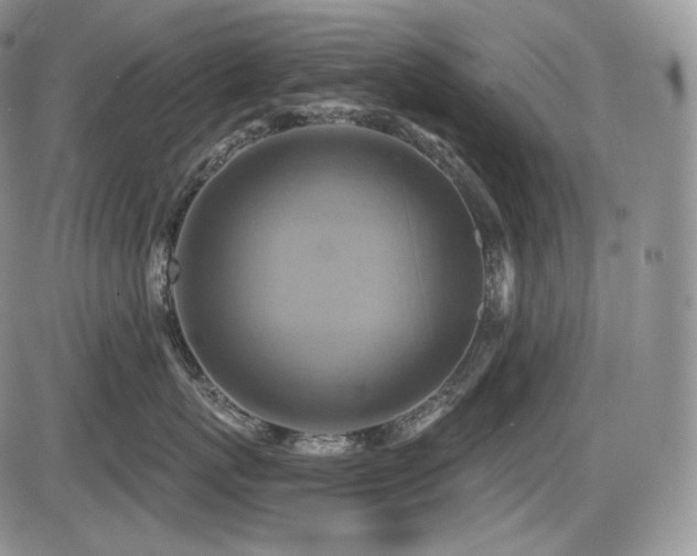 X0000086020767200703231146