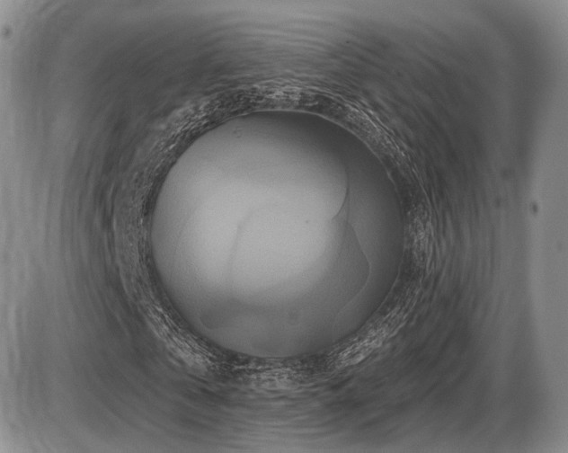X0000086020769200703231145