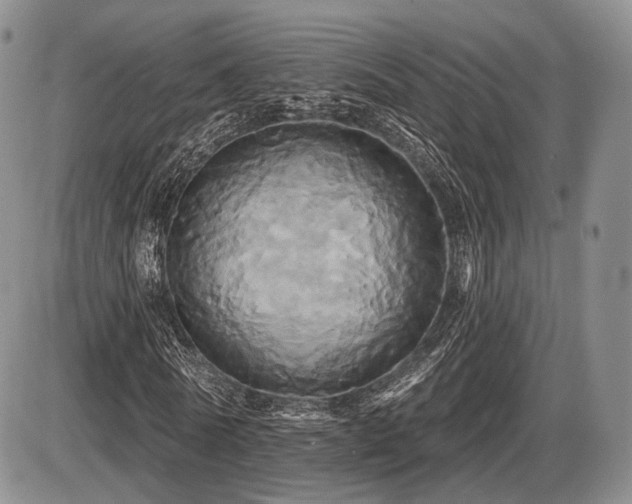 X0000086020770200703231145