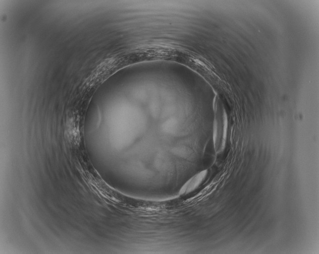 X0000086020771200703231145