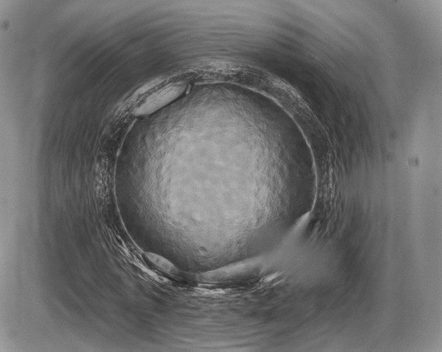 X0000086020773200703231145