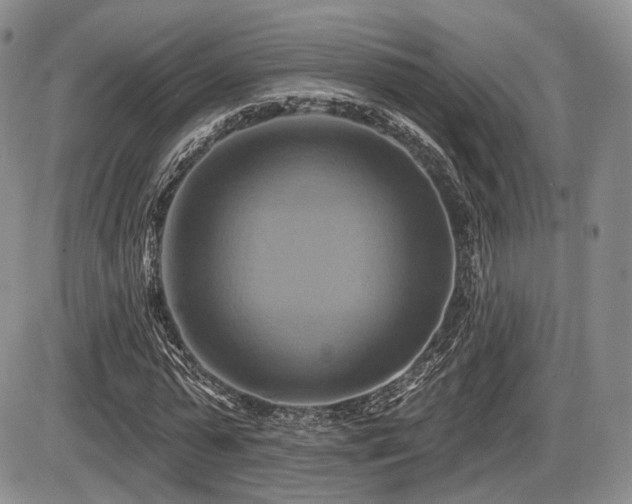X0000086020775200703231145