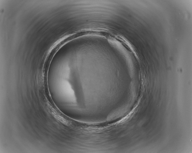 X0000086020779200703231145