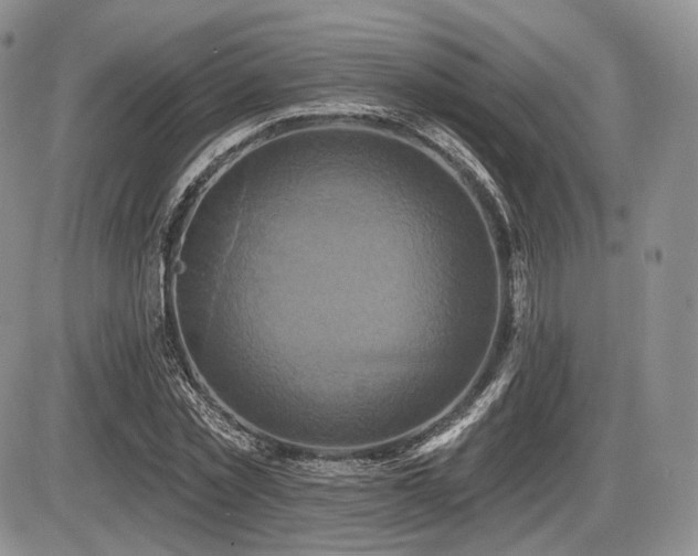X0000086020781200703231145
