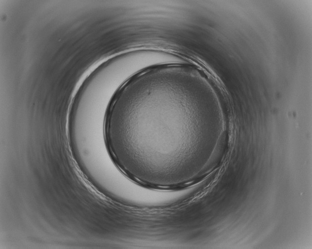 X0000086020788200703231145
