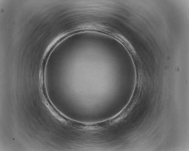 X0000086020796200703231145