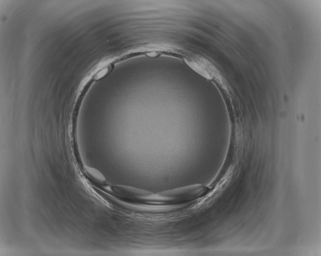 X0000086020797200703231145