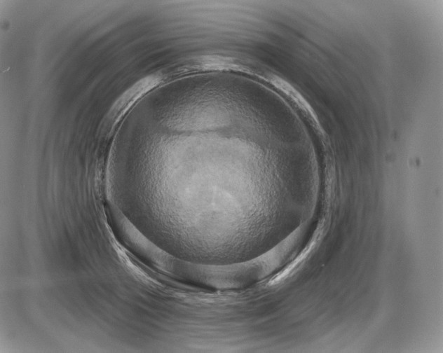 X0000086020801200703231144