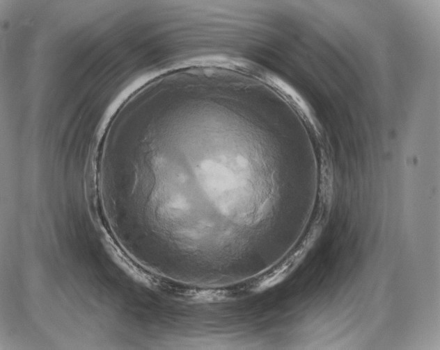 X0000086020808200703231144