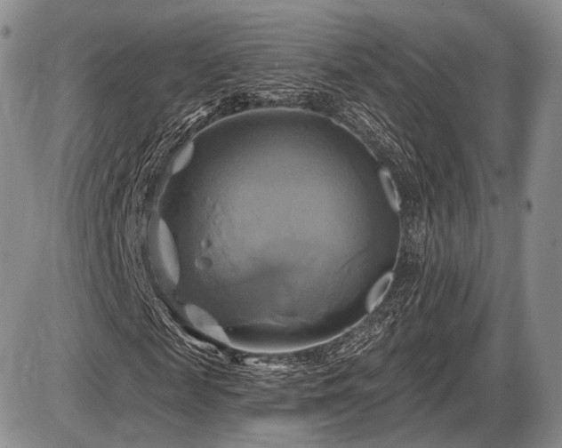 X0000086020817200703231143