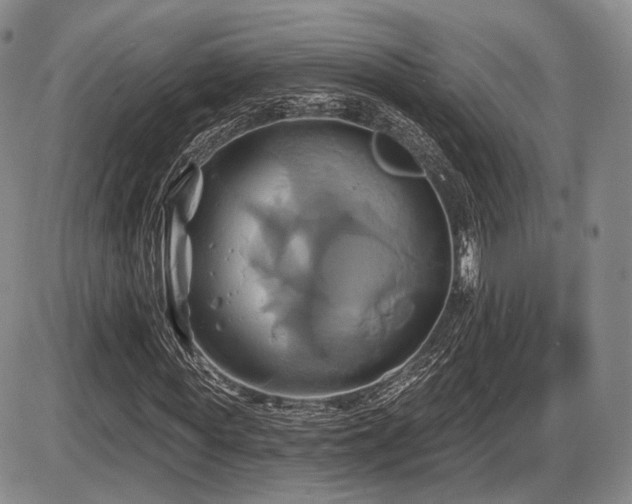 X0000086020819200703231143