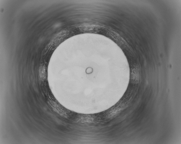 X0000086020820200703231143