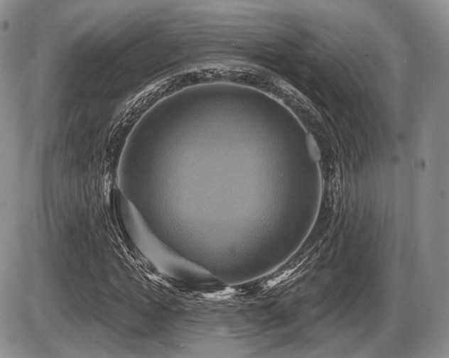 X0000086020822200703231144