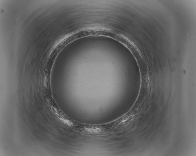 X0000086020823200703231144