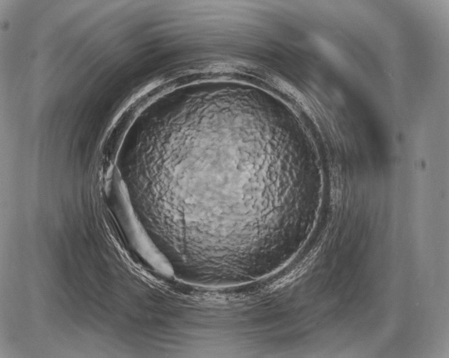 X0000086020827200703231144