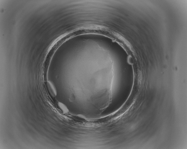 X0000086020829200703231144