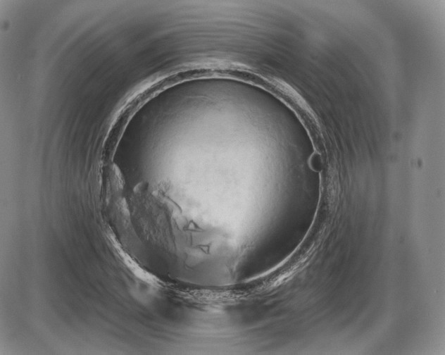 X0000086020831200703231144