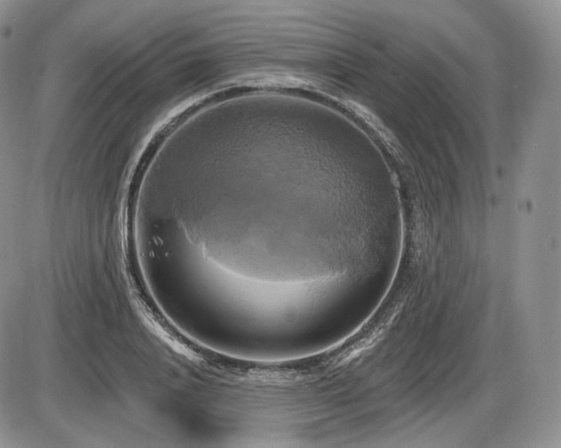 X0000086020840200703231144