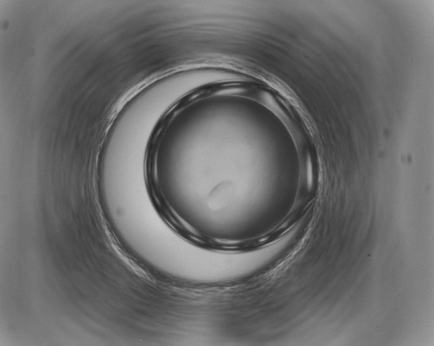 X0000086020842200703231144