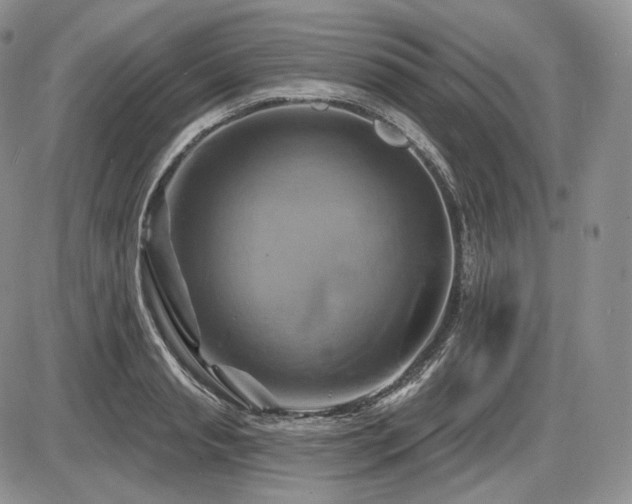 X0000086020845200703231144