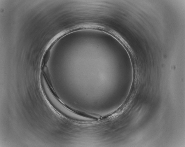 X0000086020853200703231144