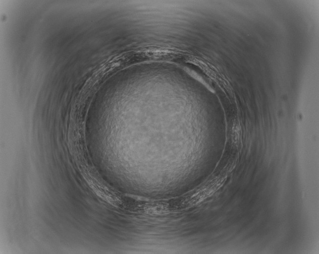 X0000086020865200703231143