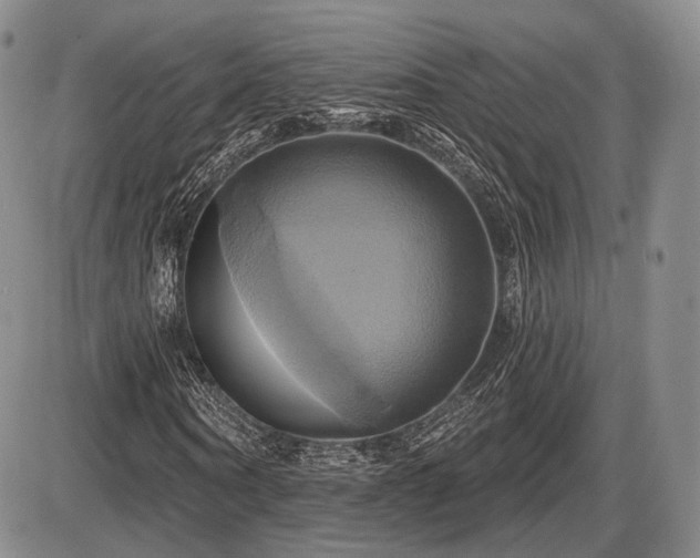 X0000086020866200703231143