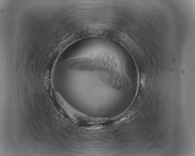 X0000086020867200703231143