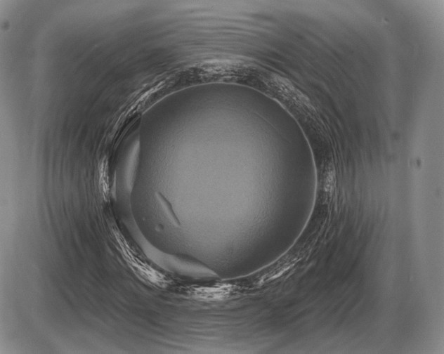 X0000086020868200703231143