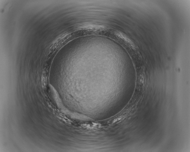 X0000086020869200703231143