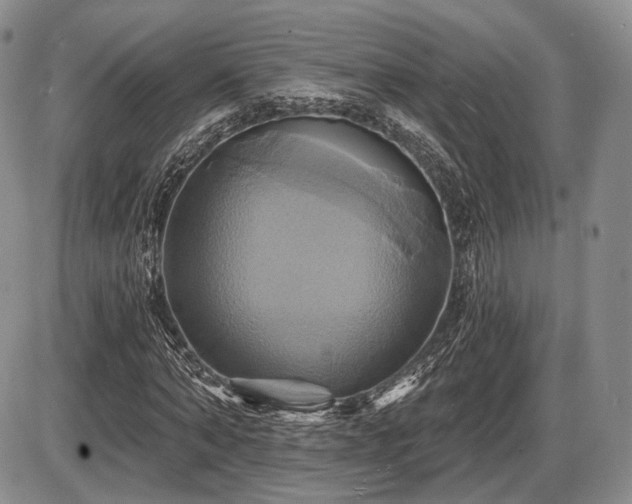 X0000086020870200703231143