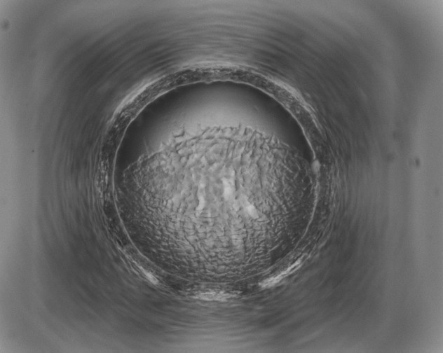 X0000086020871200703231143