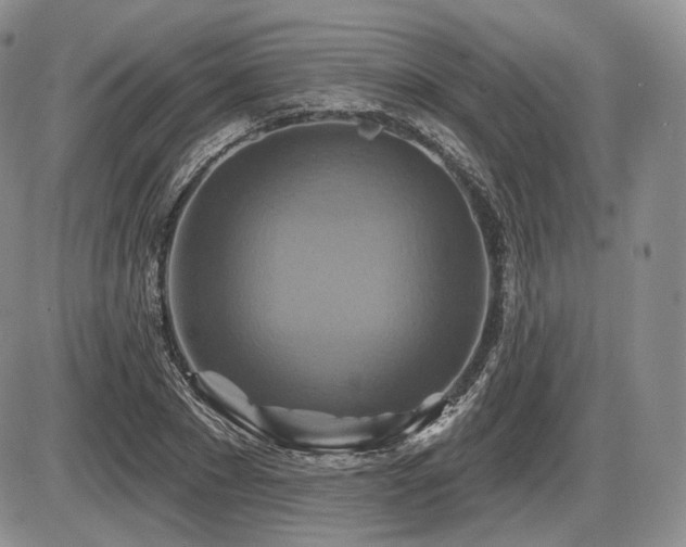 X0000086020881200703231143
