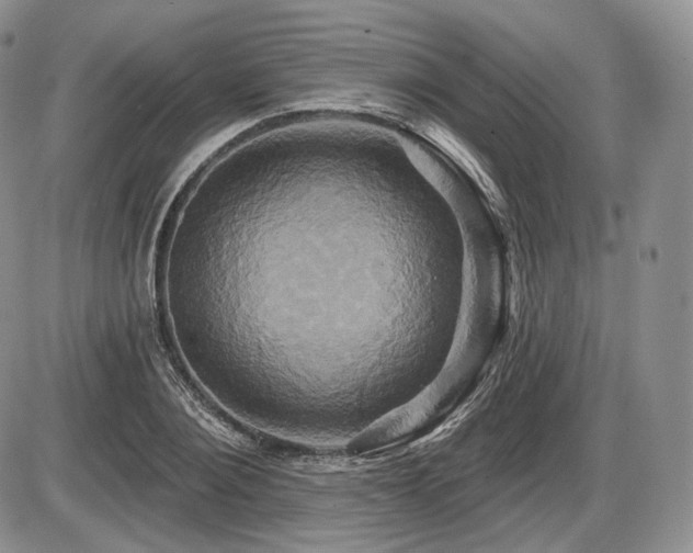 X0000086020884200703231143