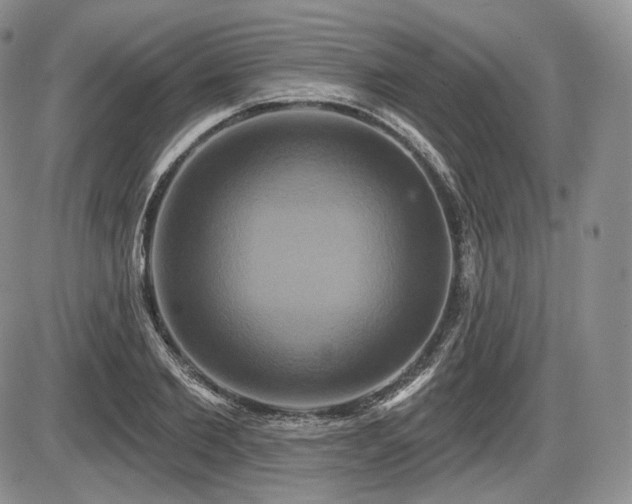 X0000086020885200703231143
