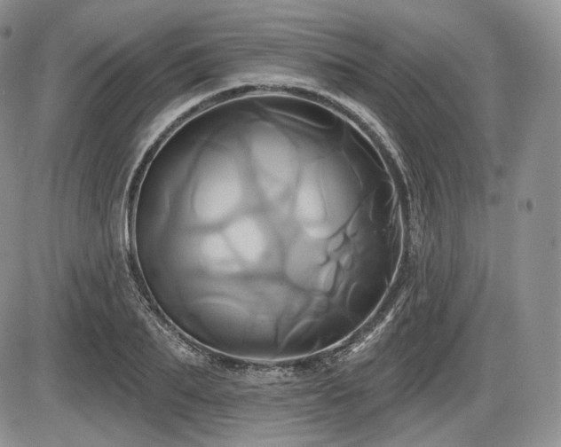 X0000086020887200703231143