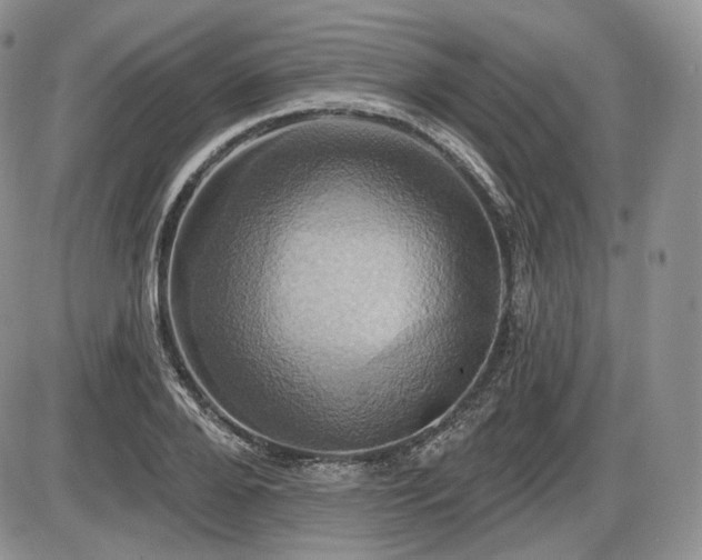 X0000086020888200703231143