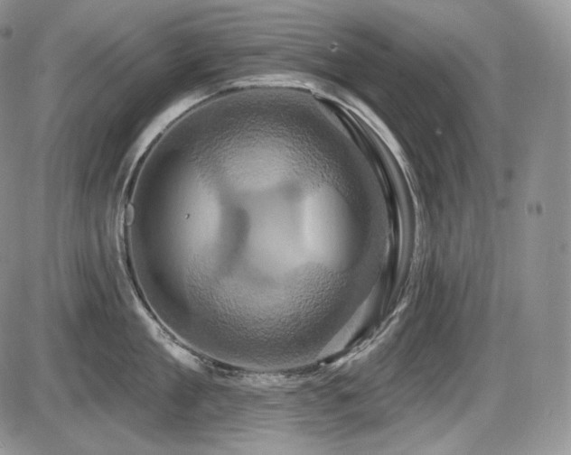X0000086020909200703231143