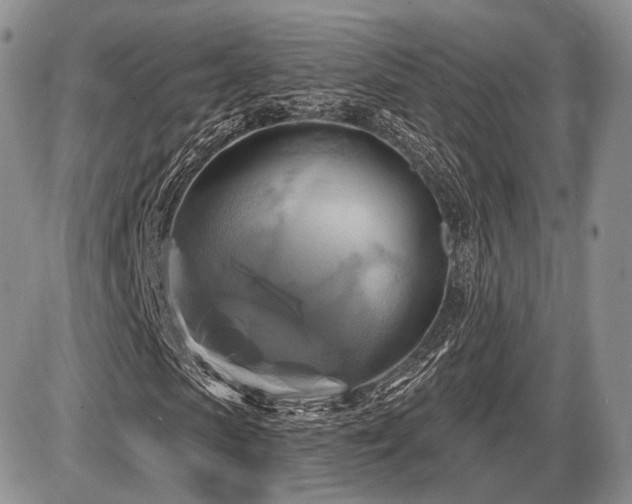 X0000086020913200703231142