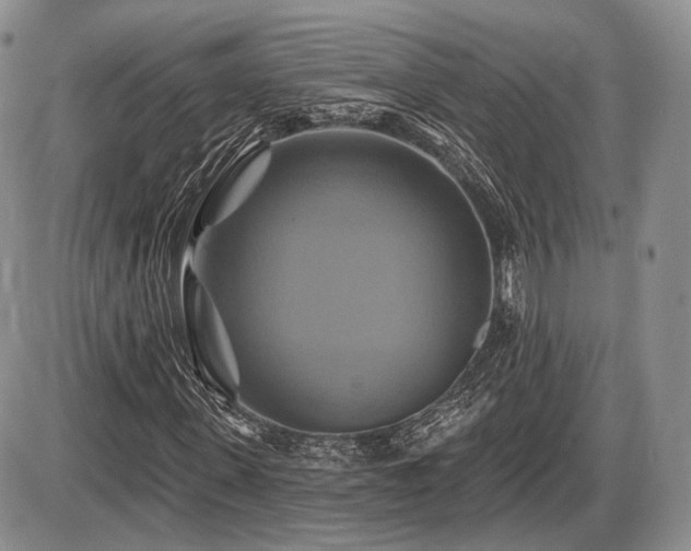 X0000086020915200703231142