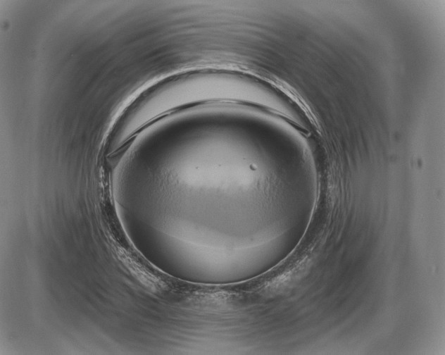X0000086020926200703231142
